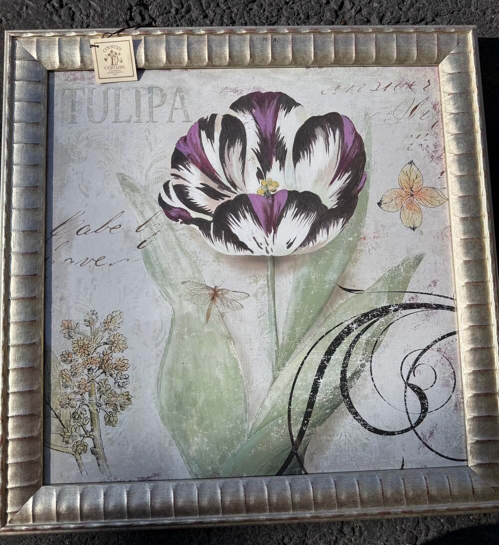 Aimee Wilson Framed Museum Art Print Tulipa II